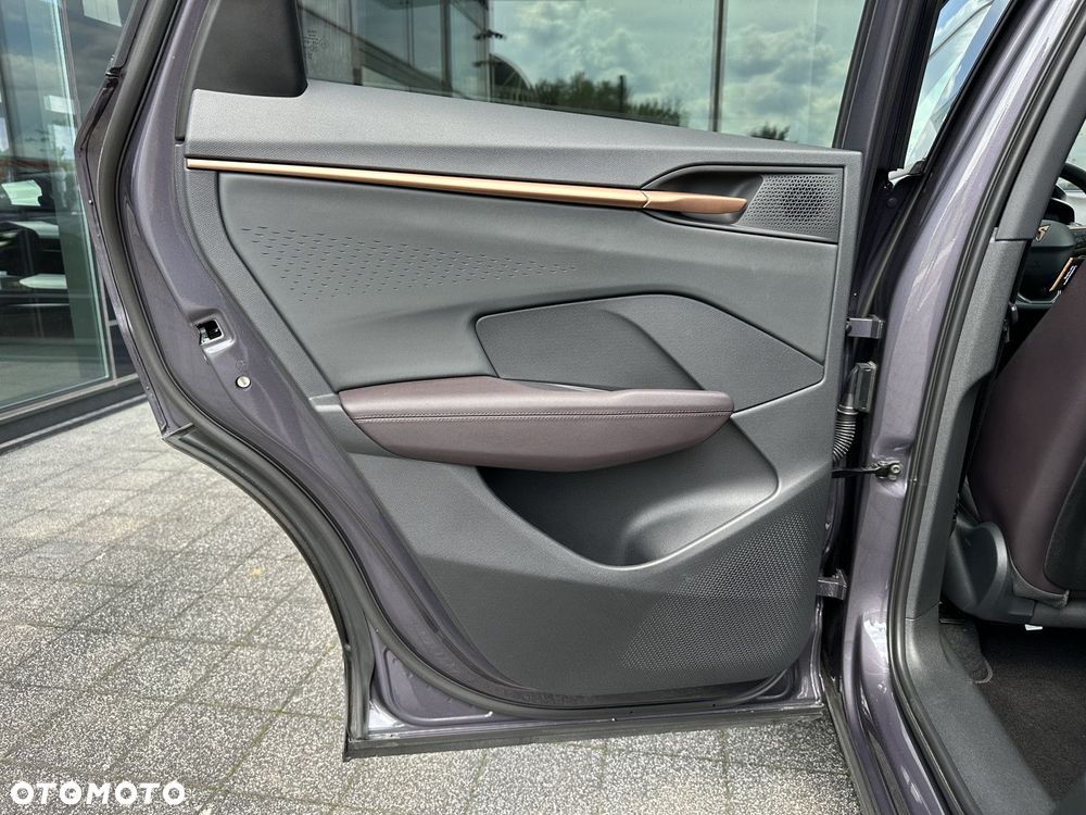 Cupra Terramar - 19