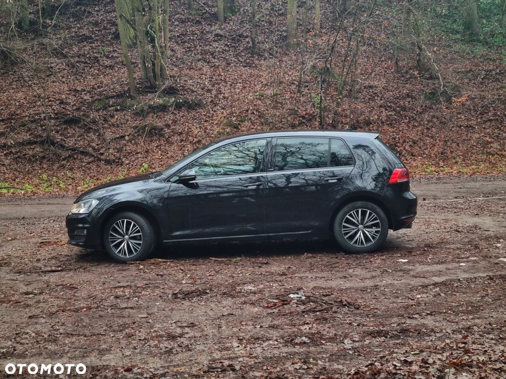 Volkswagen Golf 1.6 TDI BlueMotion Technology Allstar - 12