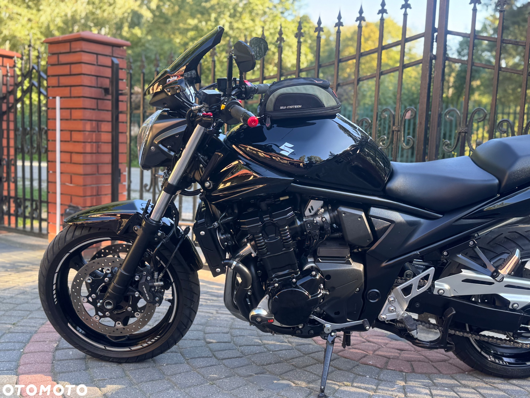 Suzuki Bandit - 19
