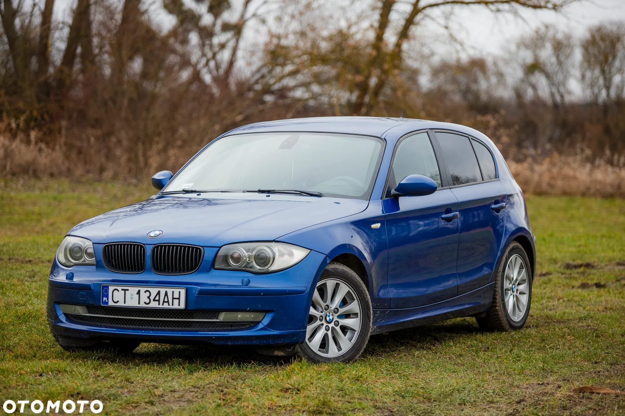 BMW Seria 1 118d - 15