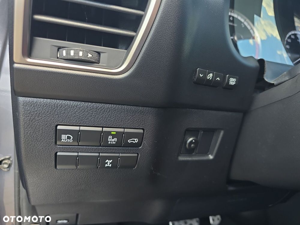Lexus NX 300 F Sport AWD - 18