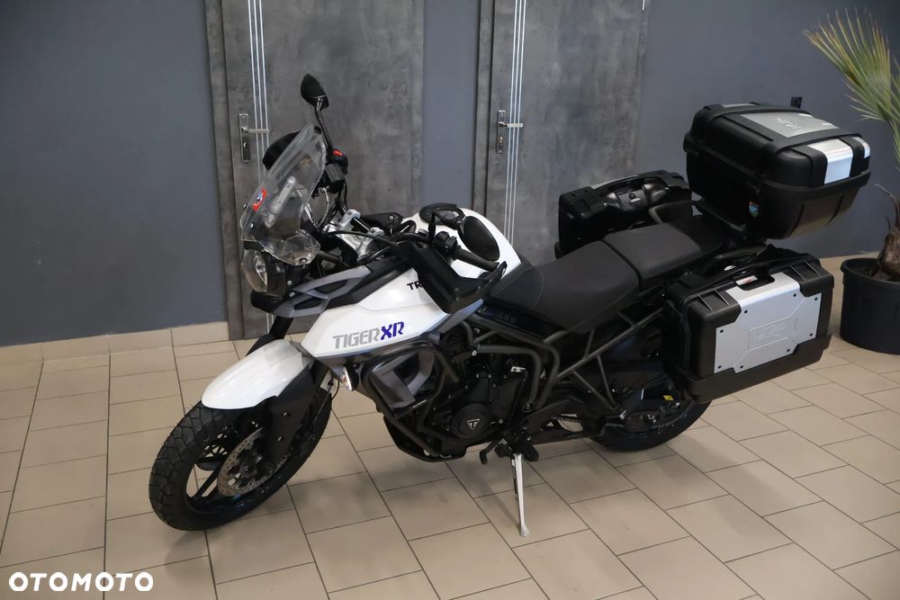 Triumph Tiger - 24