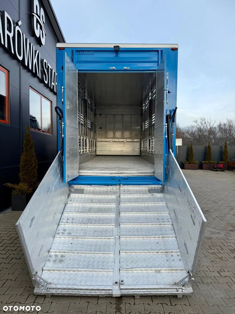 MAN TGX 26.540 // E6 // Zabudowa PEZZAIOLI // 3 poziomy hydraulika, podnoszony dach, rampa hydrauliczna // do żywca, do bydła, do transportu zwierząt - 15