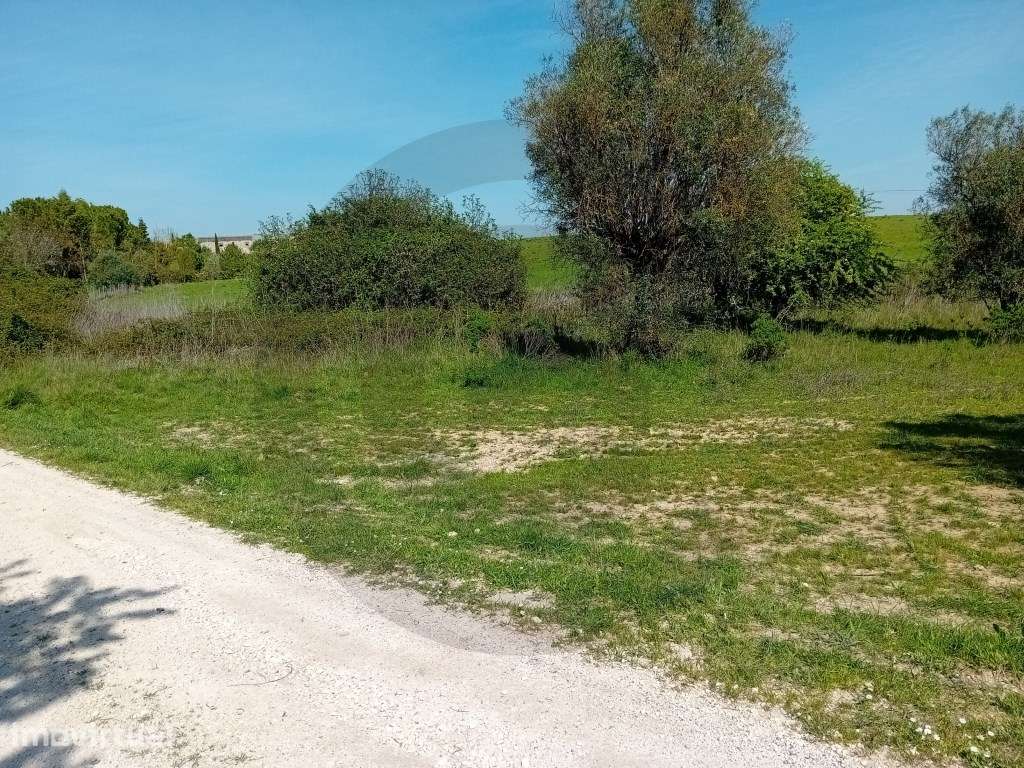 Terreno - Casal bernardino, Casével, Santarém - Grande imagem: 2/5