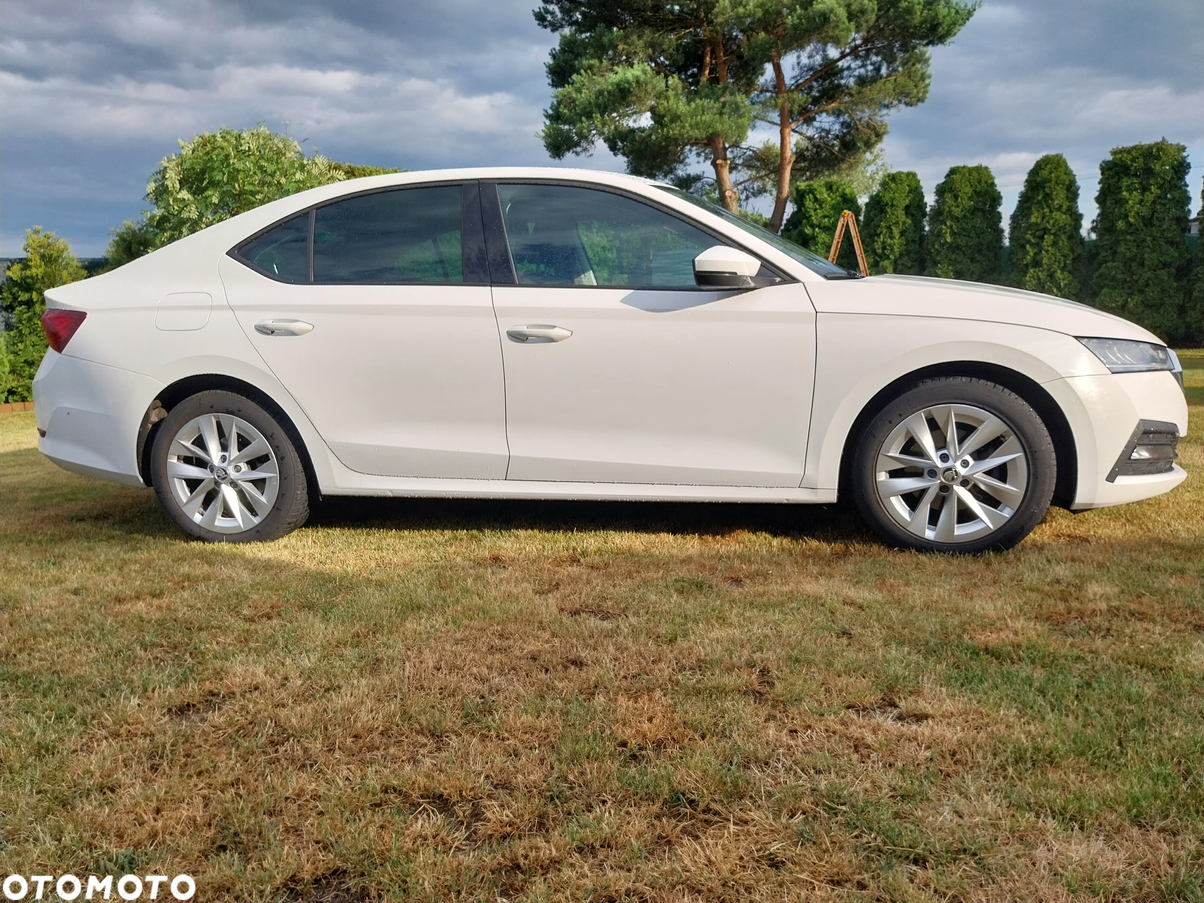 Skoda Octavia 1.5 TSI ACT Ambition - 4
