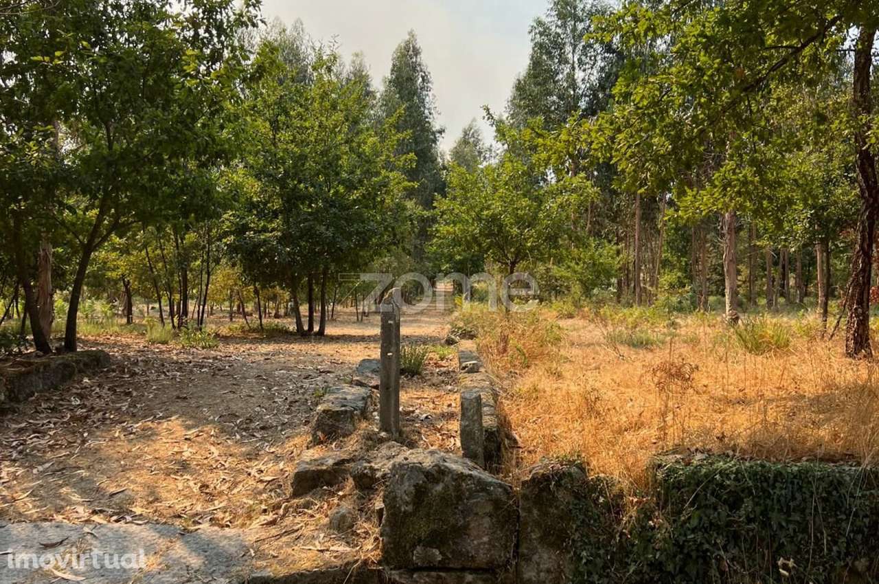Terreno para construção e exploração agrícola em Paranhos da Beira... - Grande imagem: 3/20