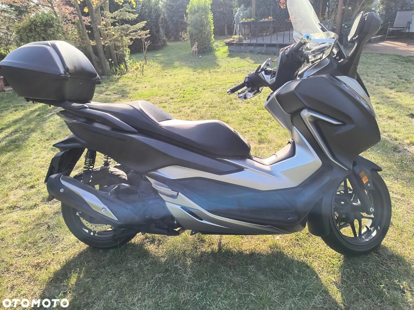 Honda NSS - 4