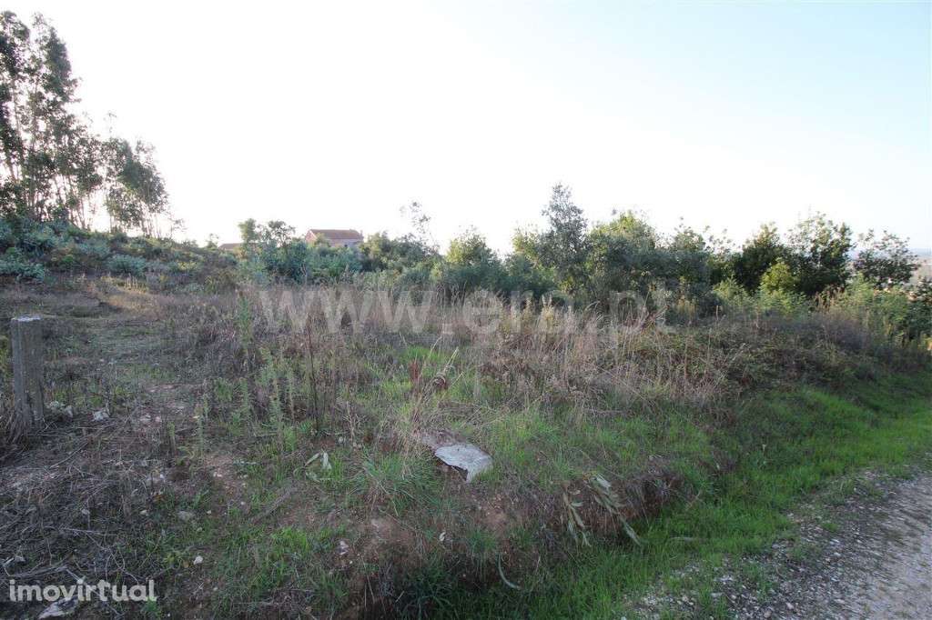Venda Terreno de 1990m2,Venda Terreno , em Coimbra,São Martinho do Bis - Grande imagem: 2/3