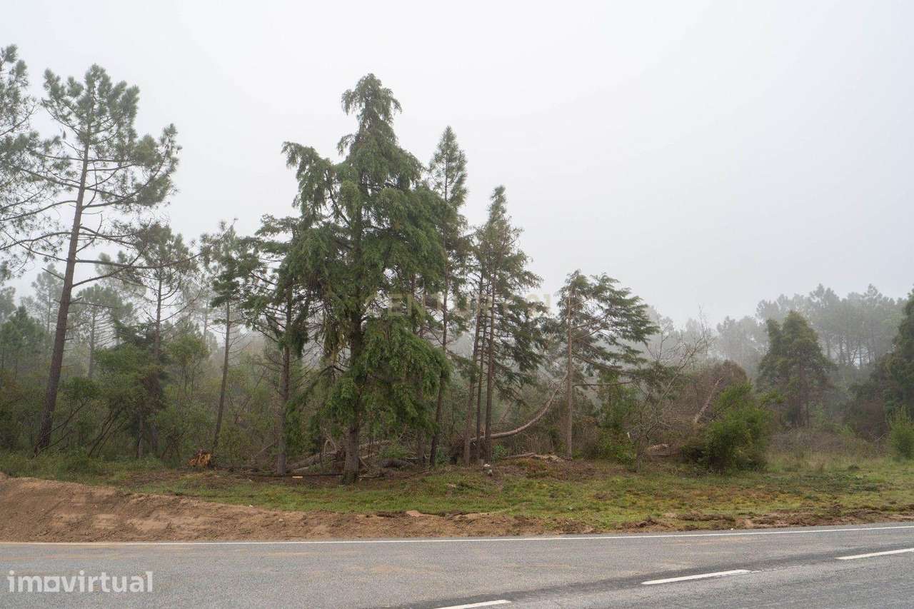Terreno em Miranda do Corvo- Oportunidade Única por 37.000€ - Grande imagem: 4/8