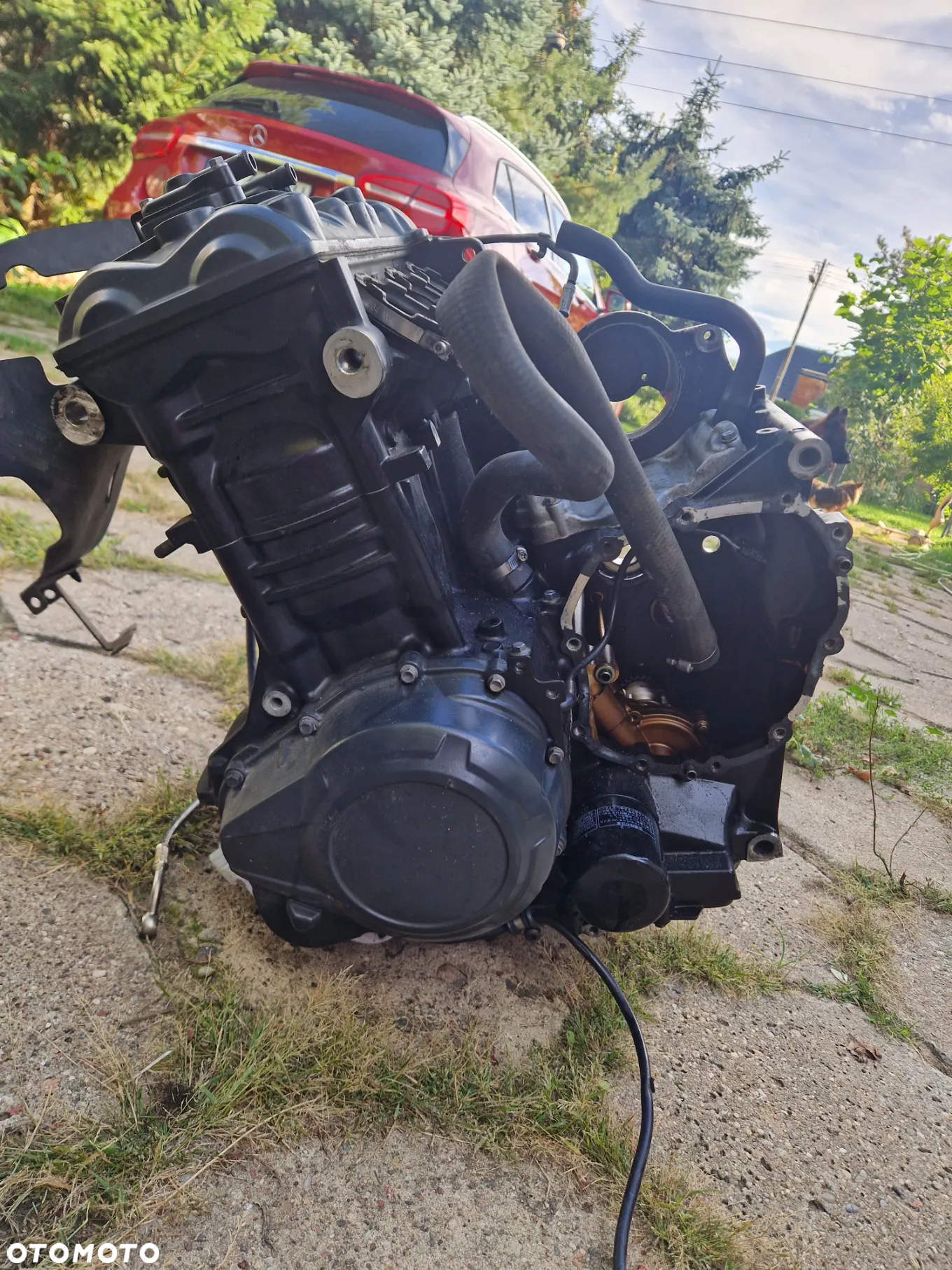 Silnik tiger 1200 2012r. - 2