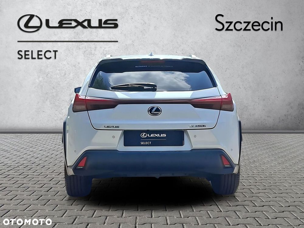 Lexus UX 250h GPF Business 2WD - 4