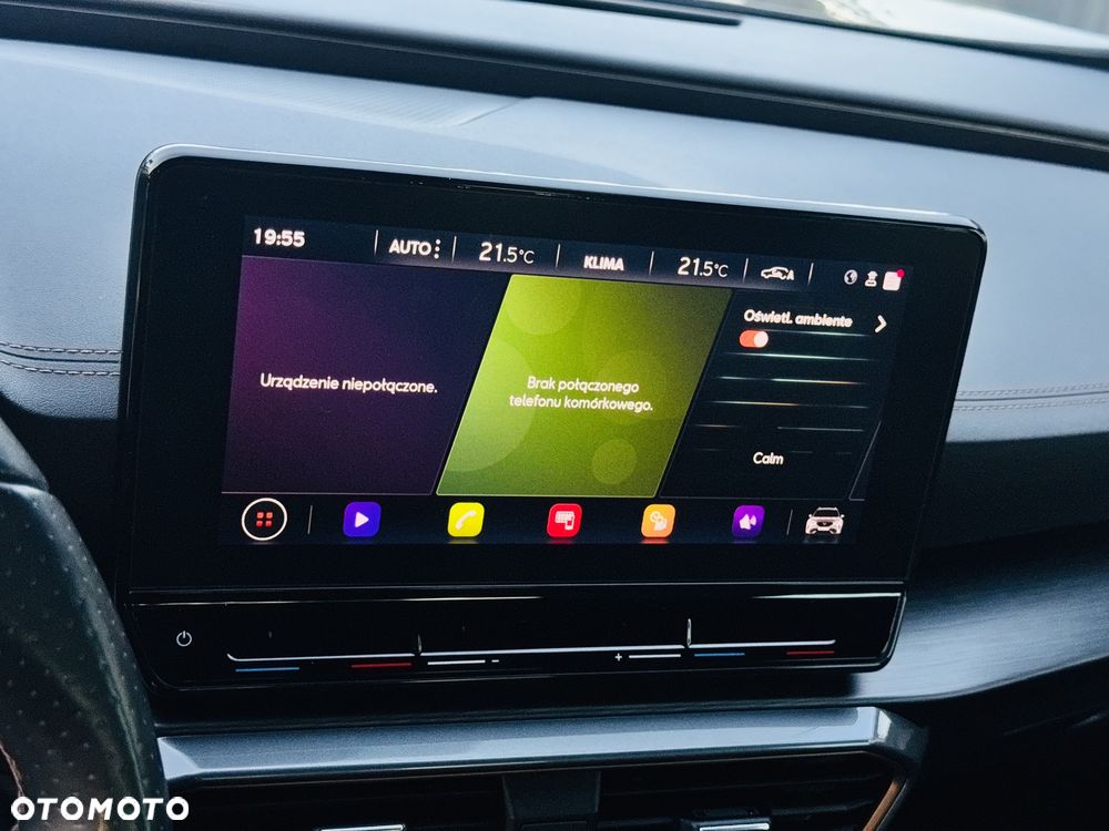 Cupra Formentor 1.5 TSI DSG Tribe Edition - 22