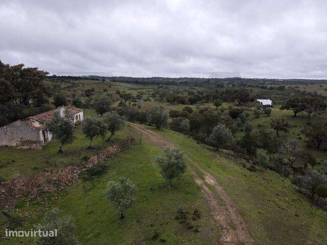 Herdade 60ha em Grândola — PIP de 2021 (actualmente caducado) para con - Grande imagem: 2/10