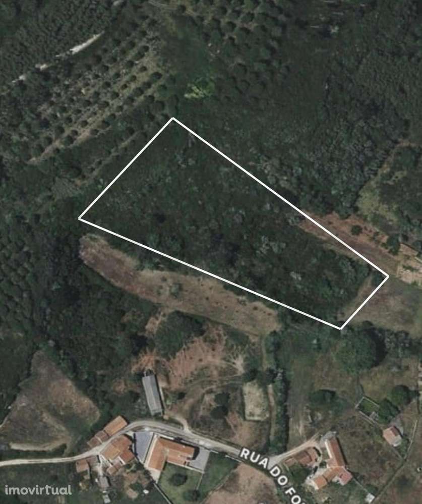 terreno para Venda com 6.020 m2 – Quinta Nova, Famalicão, Nazaré - Grande imagem: 3/26