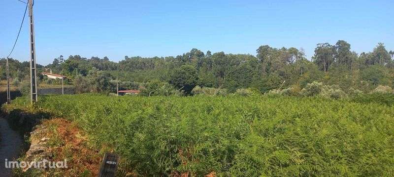 Terreno Cavernães - Viseu - Grande imagem: 2/11