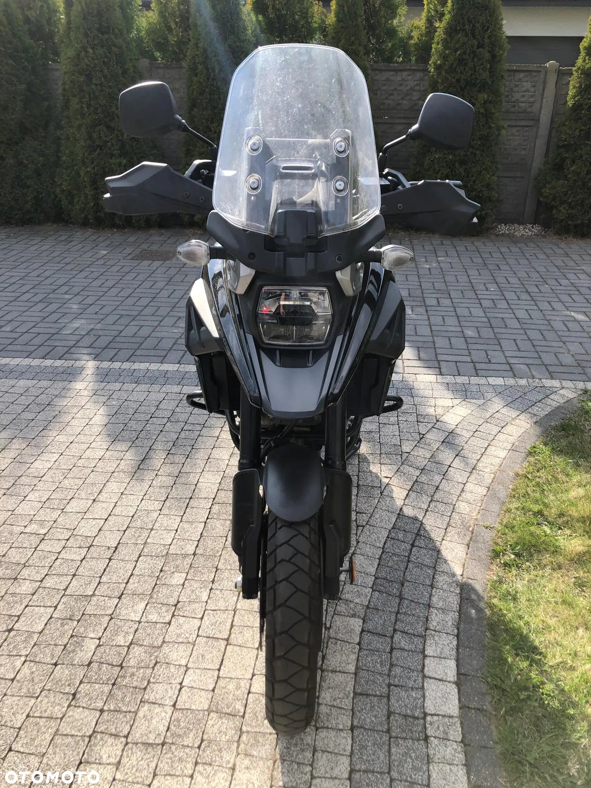 Suzuki DL - 6