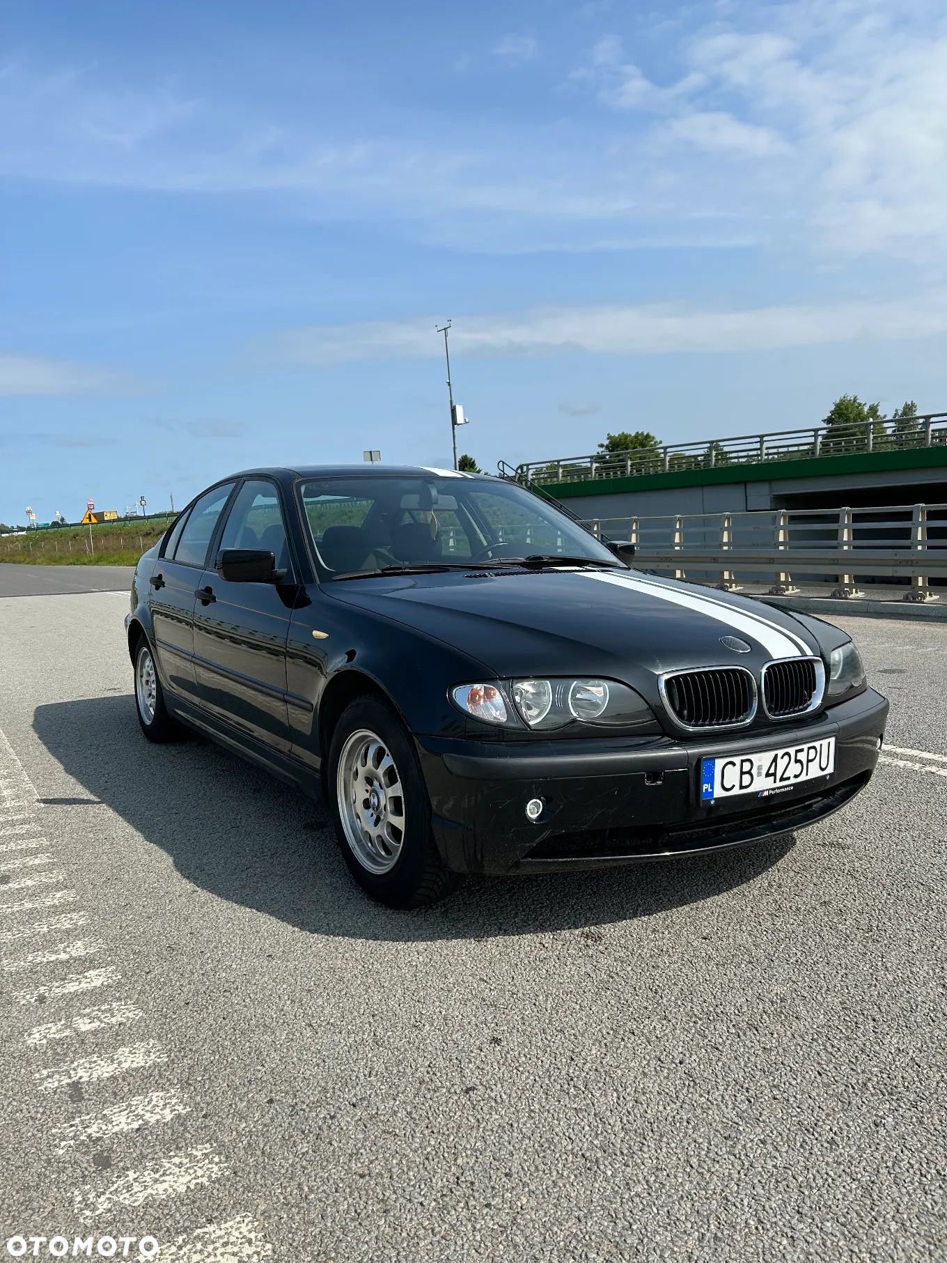 BMW Seria 3 318d - 19