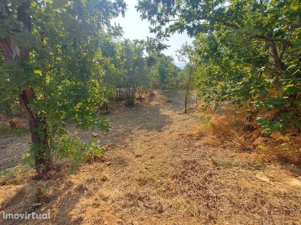 Terreno em Côja - Grande imagem: 3/4