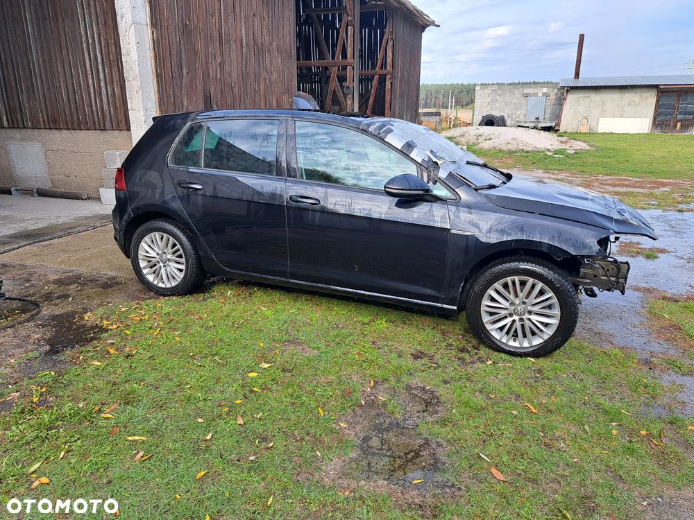 Volkswagen Golf - 5