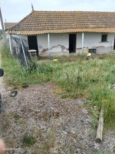 Arrendamento casa - Grande imagem: 4/7