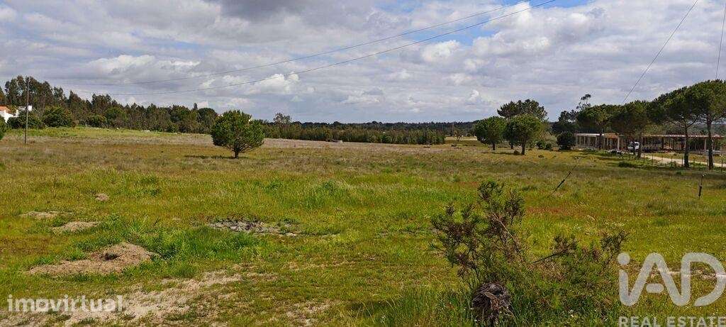 Terreno para construção em Branca de 39000,00 m2 - Grande imagem: 3/14