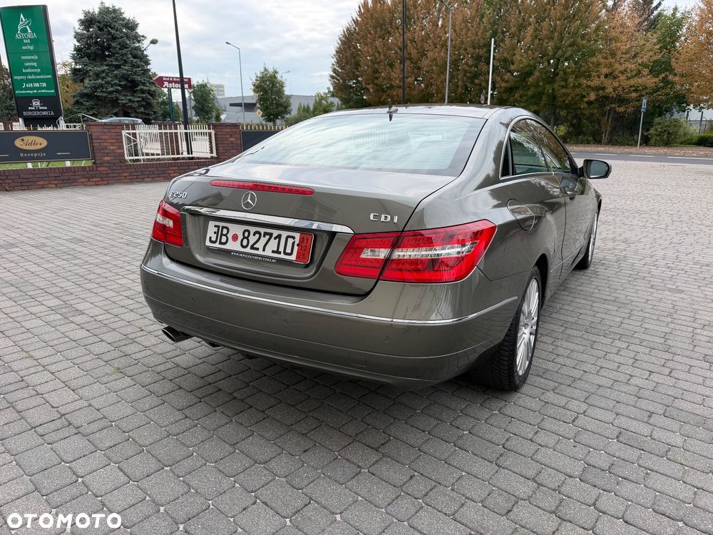 Mercedes-Benz Klasa E 250 CDI DPF BlueEFFICIENCY 7G-TRONIC Avantgarde - 10