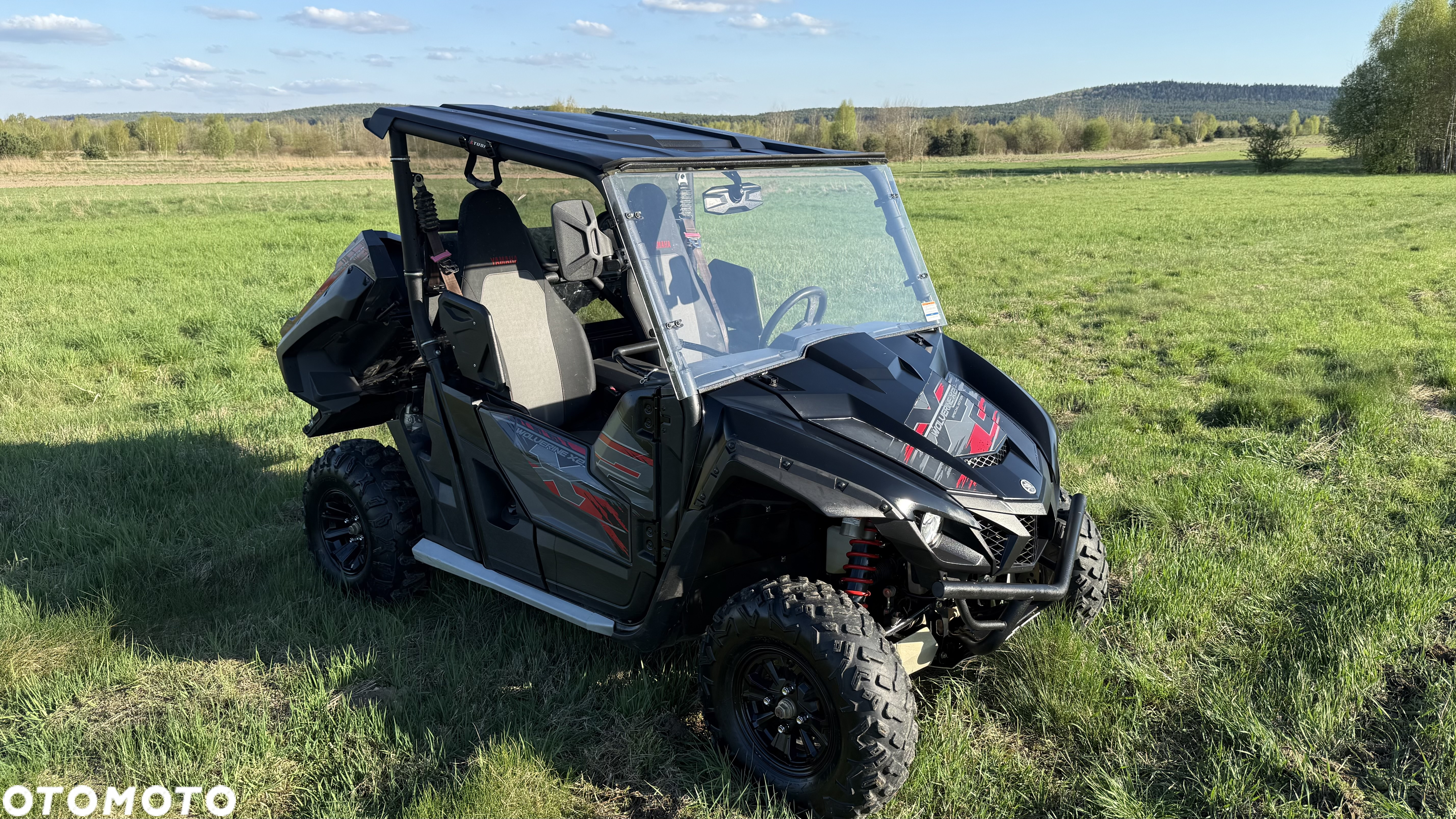 Yamaha Wolverine - 7