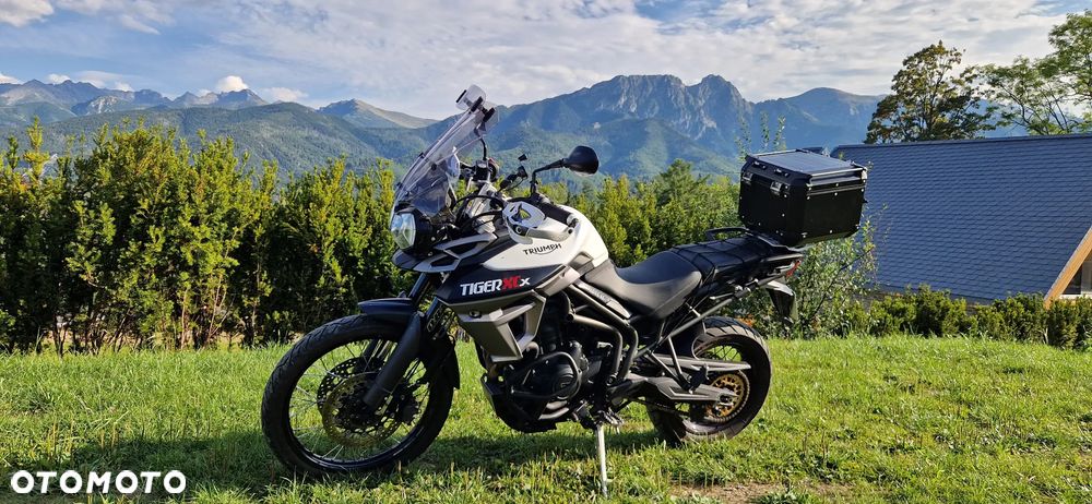 Triumph Tiger - 4