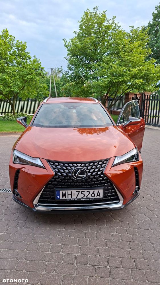 Lexus UX 200 GPF F Sport Design 2WD - 12