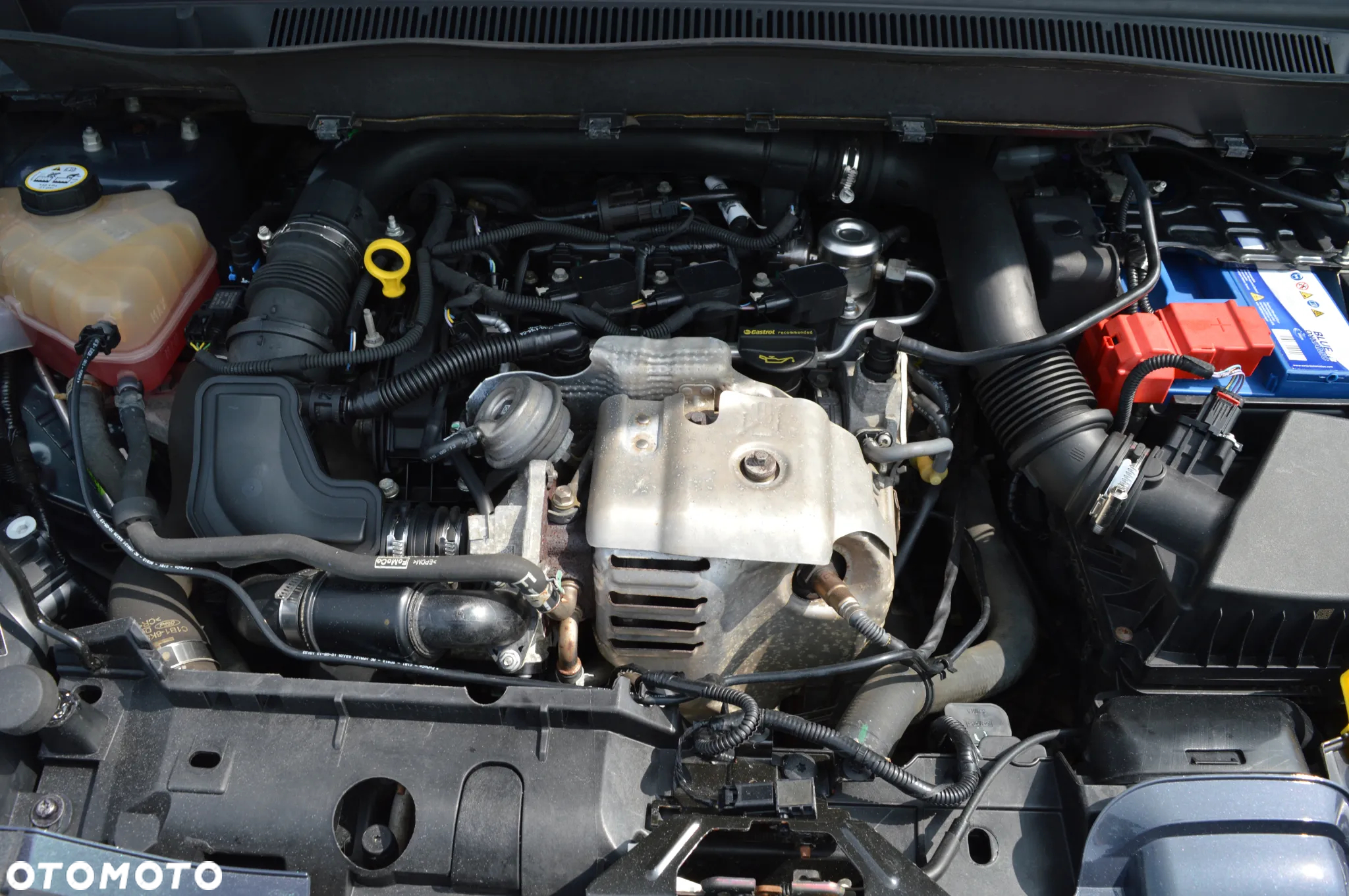 Ford B-MAX 1.0 EcoBoost Titanium - 30