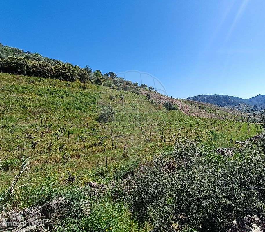 Terreno  para venda - Grande imagem: 5/9