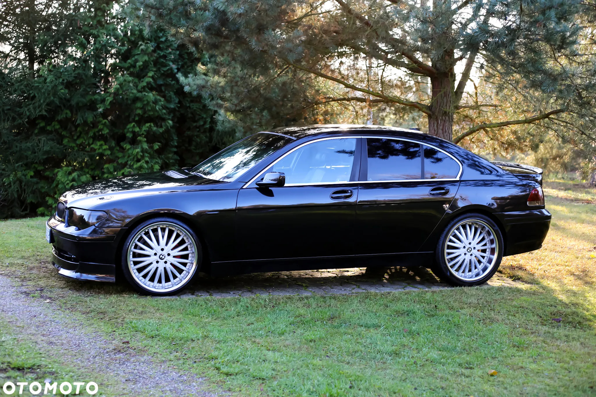 BMW Seria 7 730d - 2