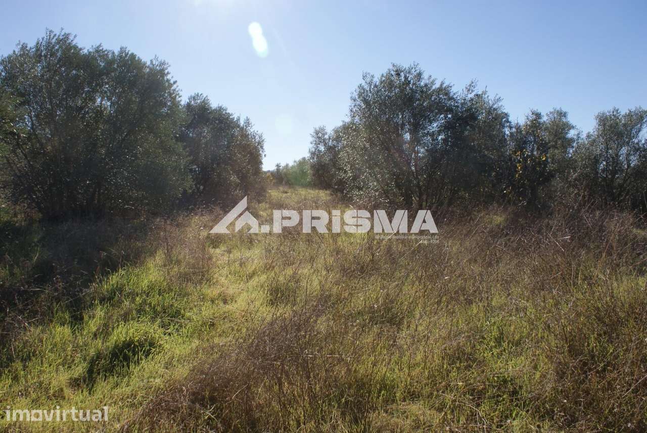 Oportunidade Única às Portas de Castelo Branco! - Grande imagem: 2/32