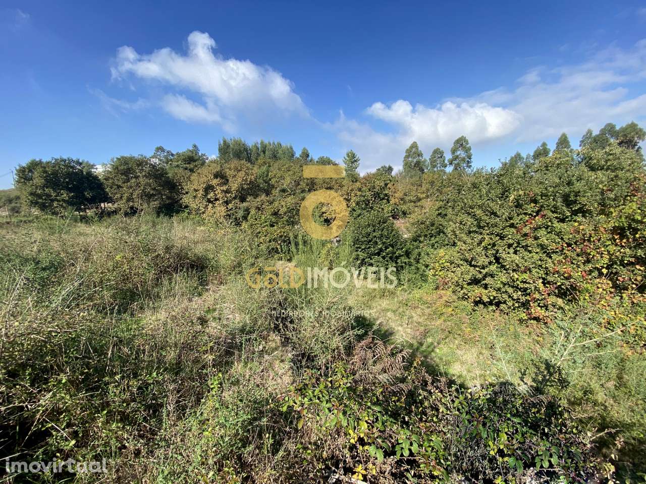 Terreno  Venda em Rebordosa,Paredes - Grande imagem: 5/5