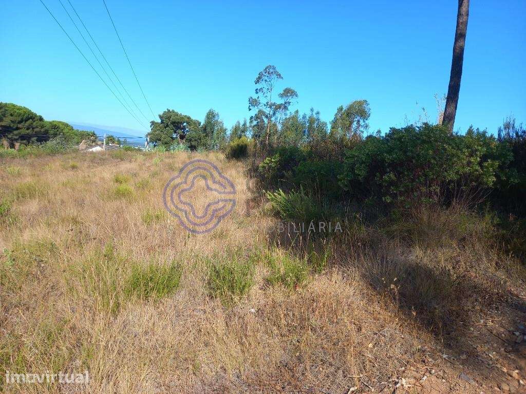 Terreno florestal com 16.000 m2 situado próximo da Barragem de Castelo - Grande imagem: 4/26
