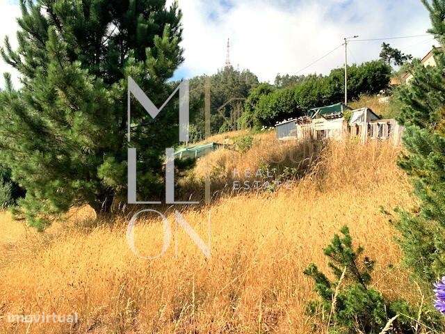 Terreno 1906m2 | com vista | zona sossegada | Santa maria Maior | Func - Grande imagem: 5/8