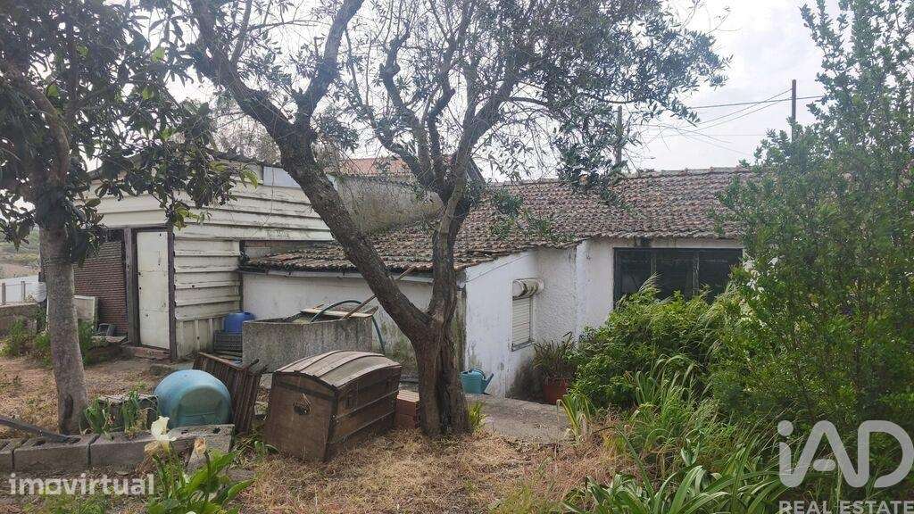 Casa / Villa T3 em  de 54 m2 - Grande imagem: 2/30