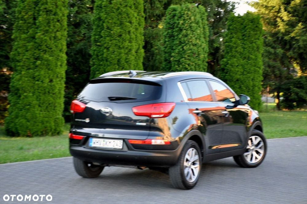 Kia Sportage - 6
