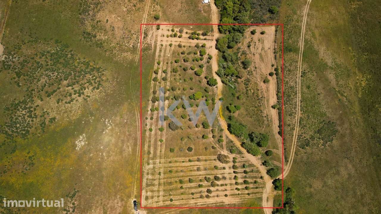 Terreno Rústico de 1hectare - Budens, Vila do Bispo - Grande imagem: 2/22