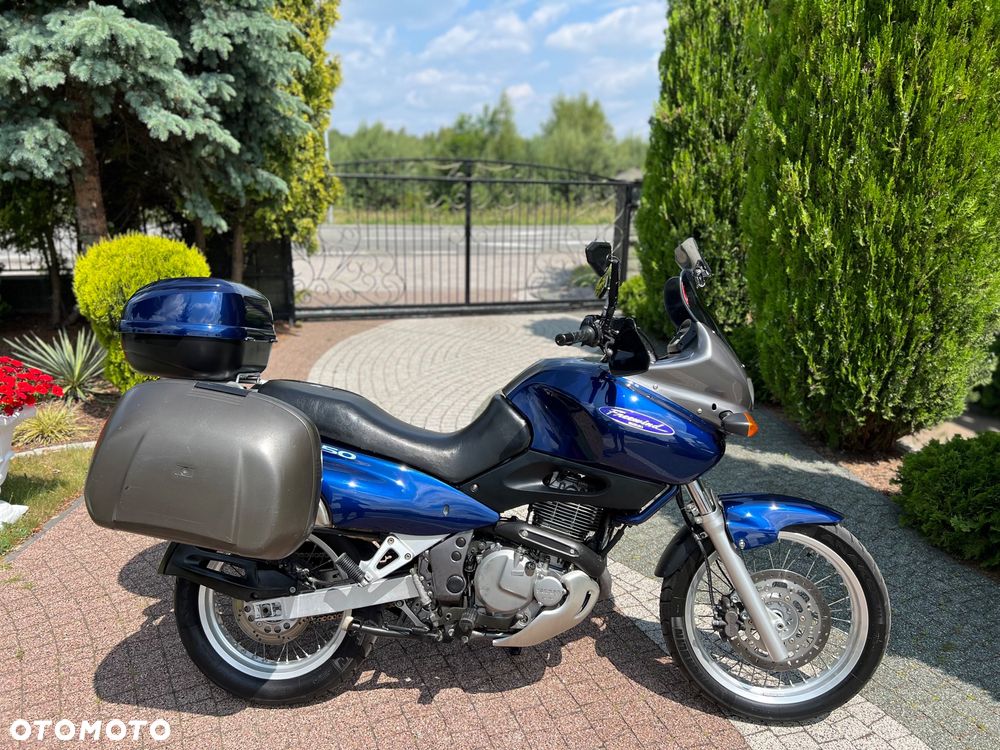 Suzuki XF - 6