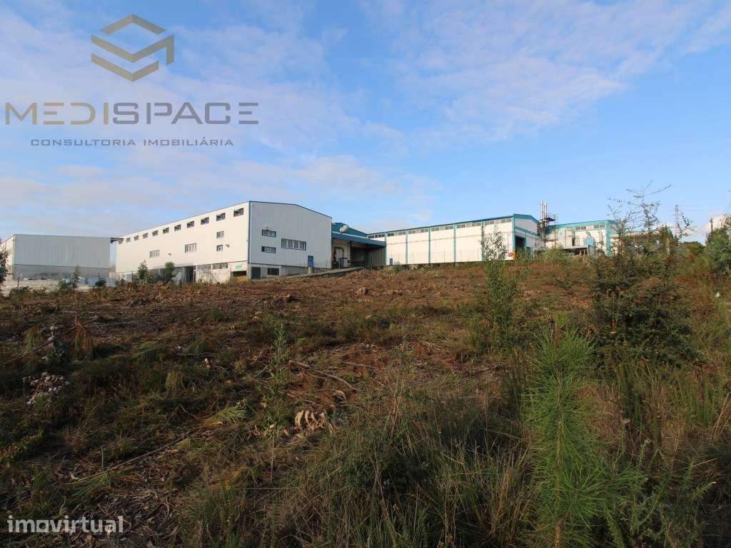 Terreno Industrial em Gaia , Avintes ( Fábrica Barbosa e Almeida) - Grande imagem: 5/23