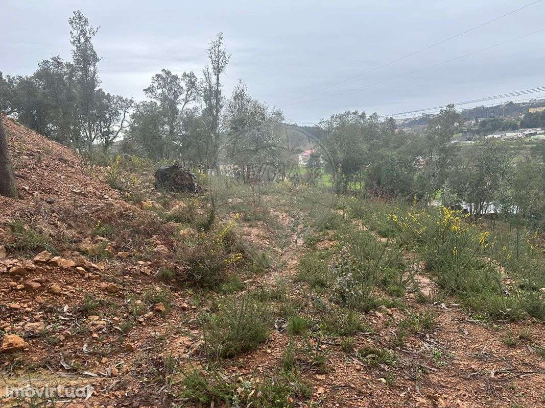 Terreno  para venda - Grande imagem: 3/8