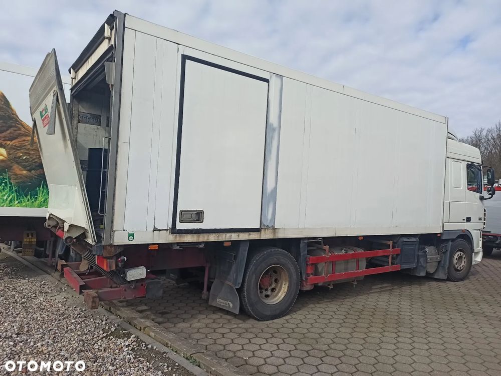 DAF XF  * Kontener * Izoterma * Przewierty *NAPOJÓWKA - 2