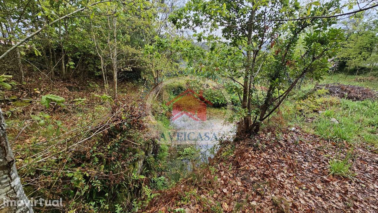 TERRENO PARA MORADIAS JUNTO AO RIO VOUGA - Grande imagem: 2/5