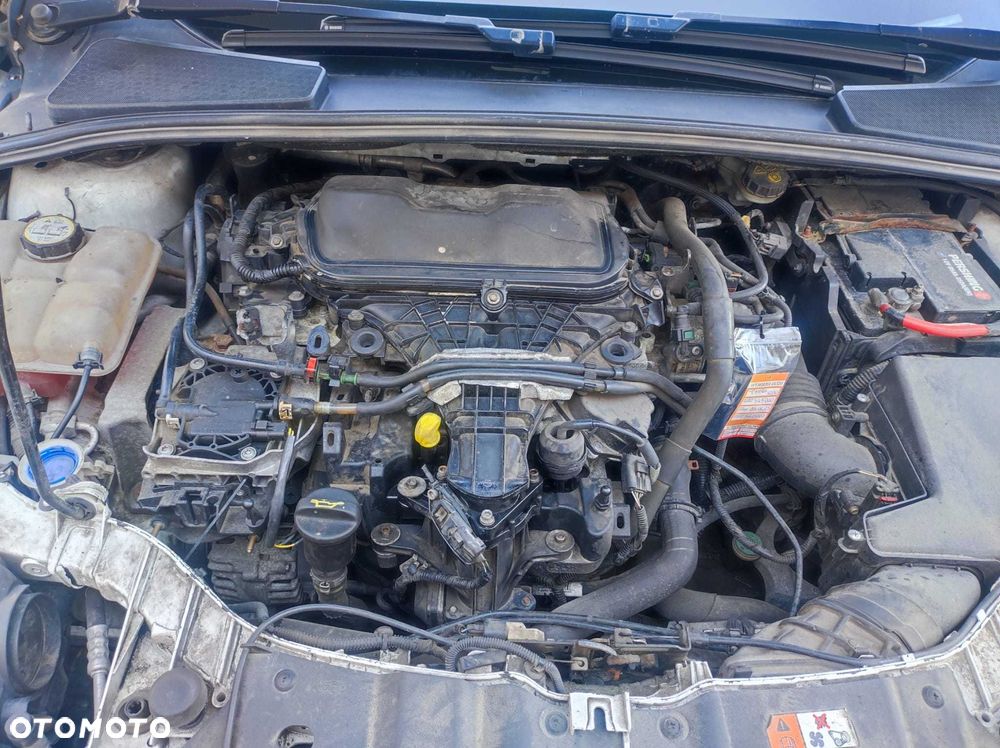 Ford Focus - 5