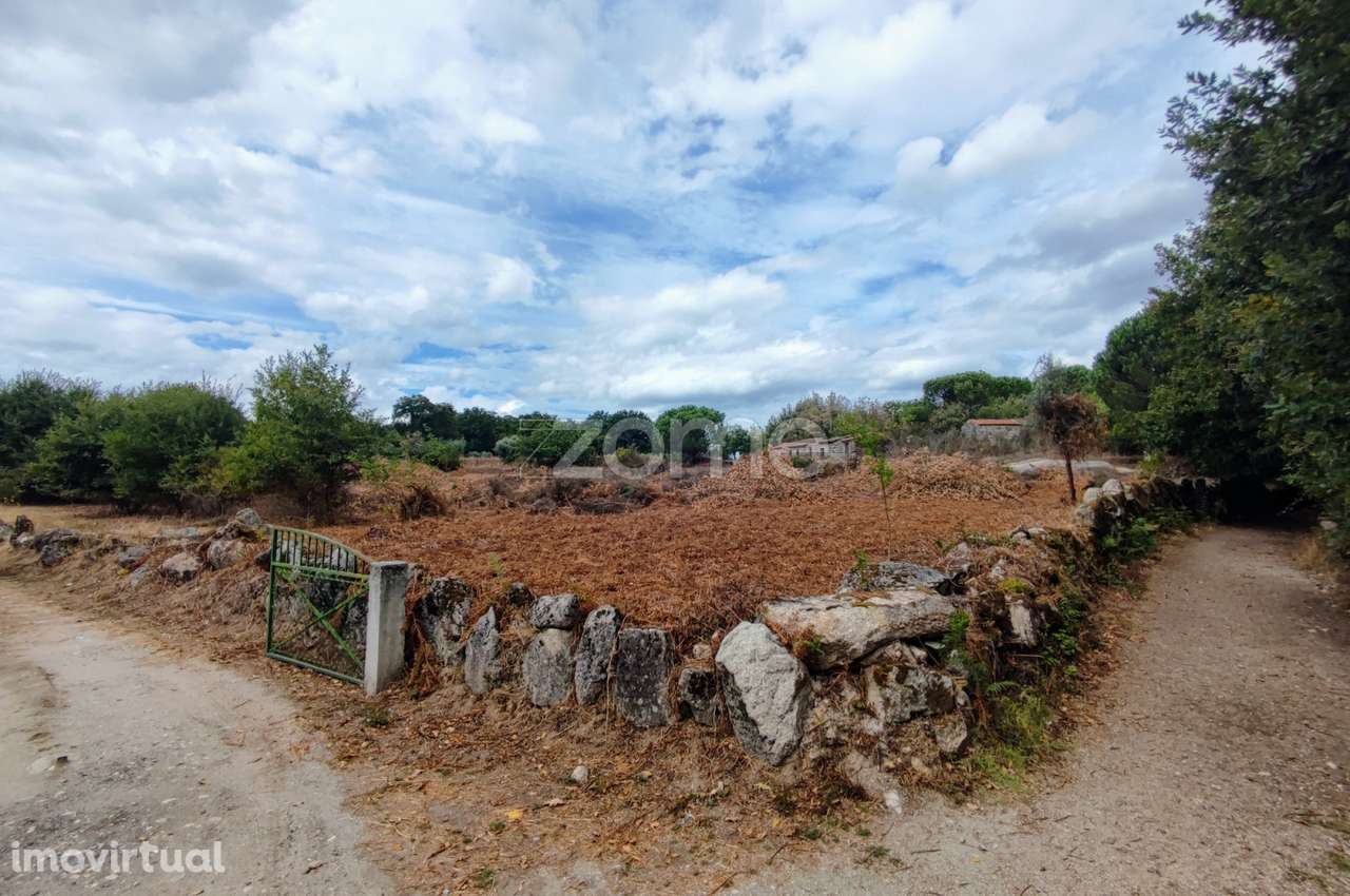Terreno rústico em Cabanas do viriato COM 7.480 m2 - Grande imagem: 3/18