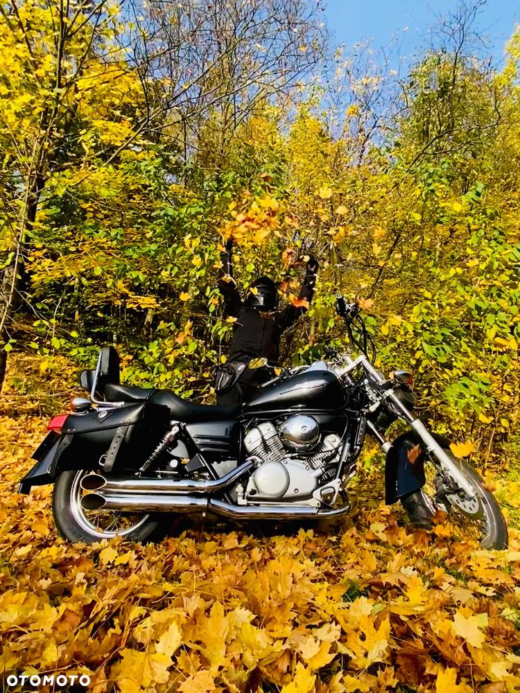 Honda Shadow - 4