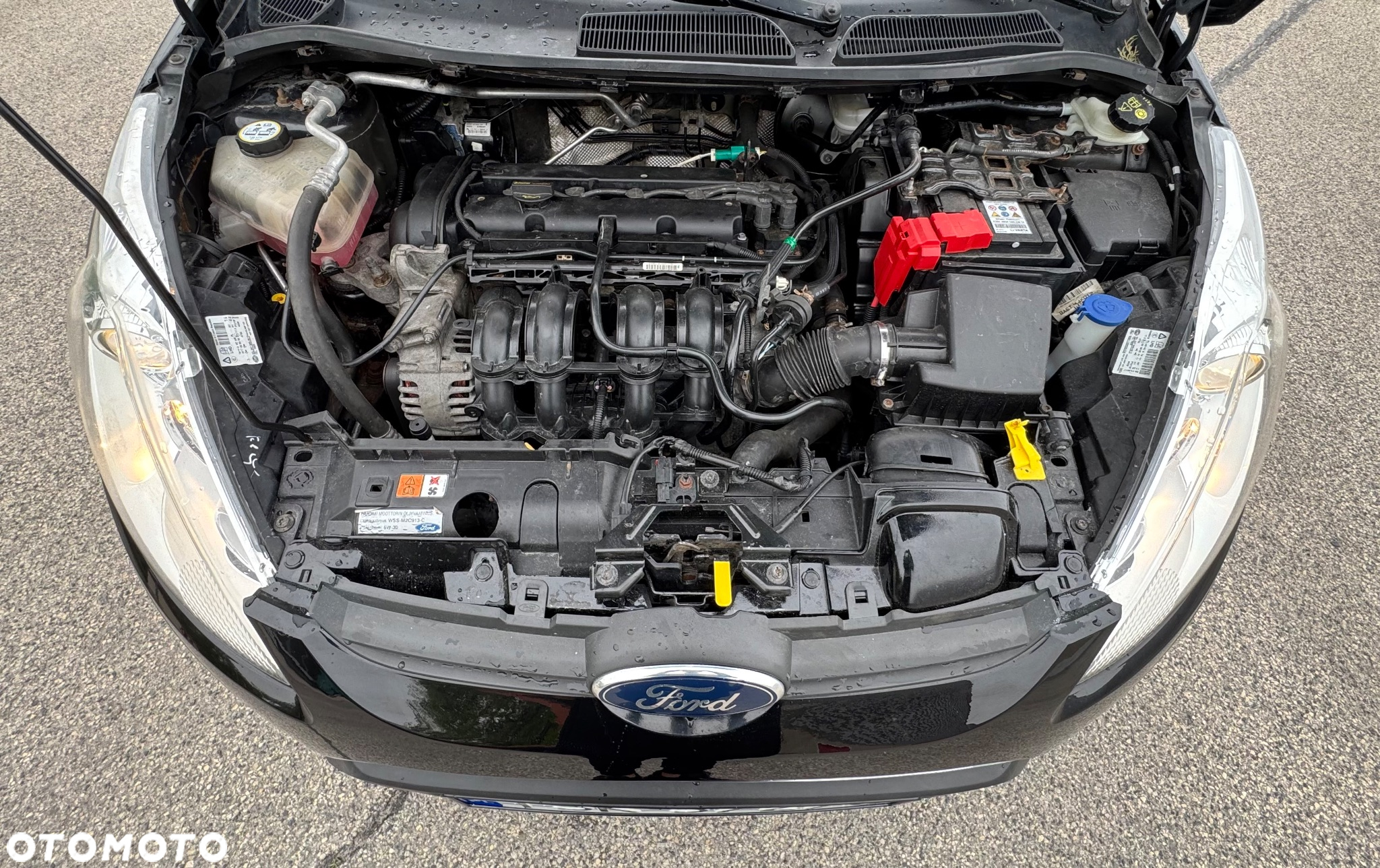 Ford Fiesta 1.25 Ghia - 8
