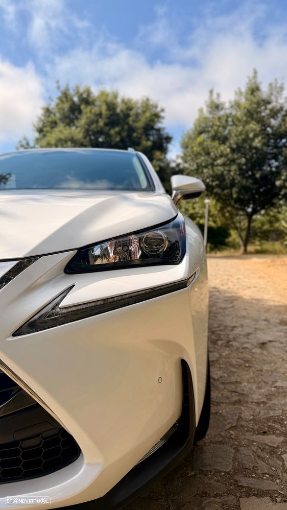 Lexus NX 300h F Sport 4WD - 3