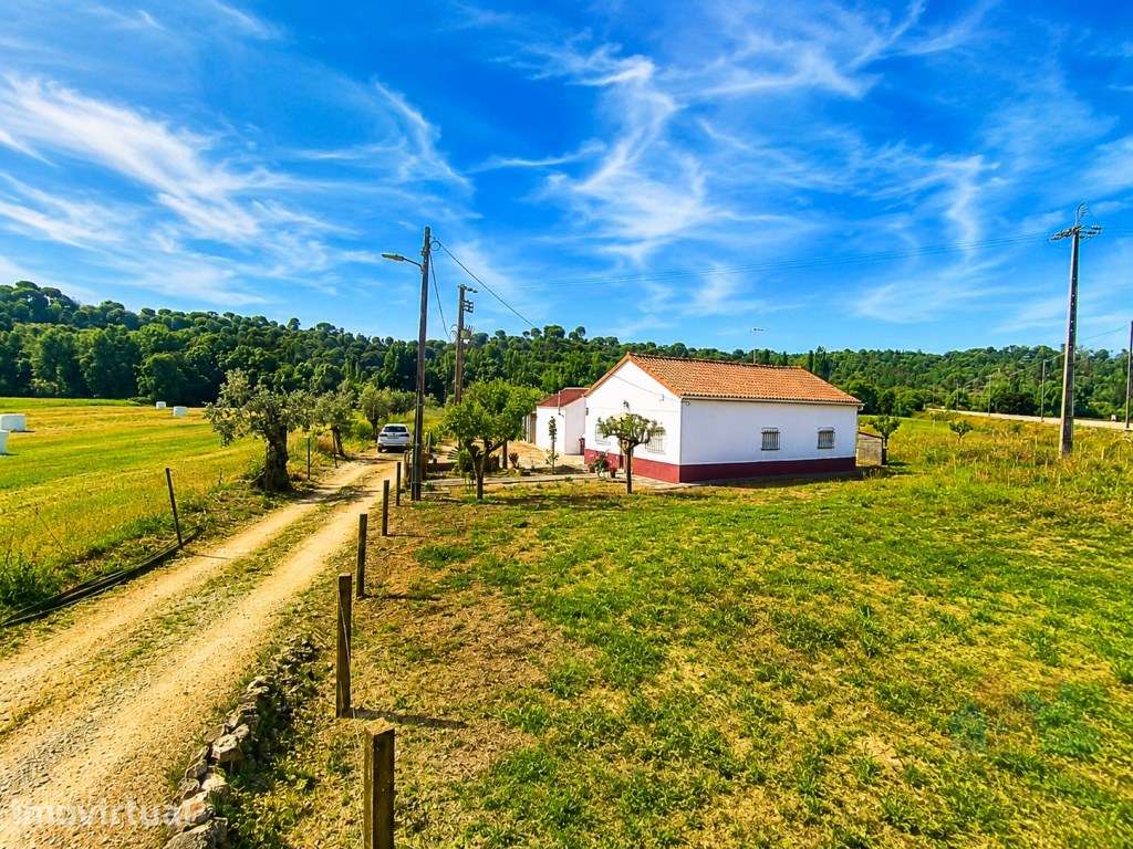 Quinta com 8280 m2 com acesso privado a rio em Tomar - Grande imagem: 2/17